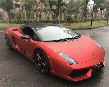 国泰黄金股,跌幅达,平博体育,平博体育平台,平博体育官方网站,平博体育登录入口,平博体育app下载