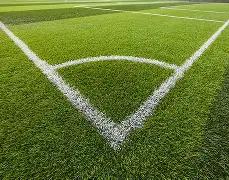 CPT,外汇解析,零售数据低,平博体育平台,平博体育官方网站,平博体育登录入口,平博体育app下载