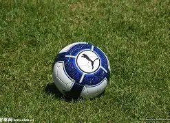 千亿激增,全球瞩目一,官方平台,平博体育平台,平博体育官方网站,平博体育登录入口,平博体育app下载