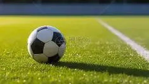 纯粹篮球之道：聚焦战术根本，马刺风格引领篮球未来