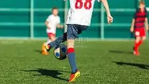 平博体育 资讯 102354 sot